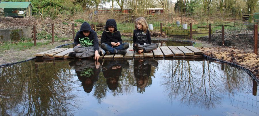 three young boys are sitting on a wooden bridge, lying on a small pond. You cab see trees and their reflection in the water.