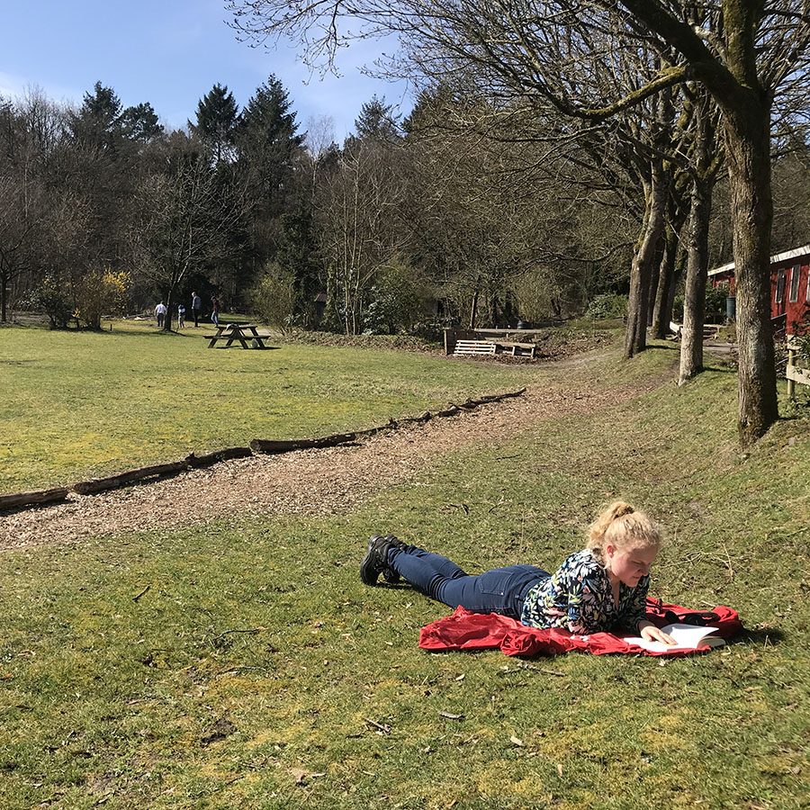student ligt in het gras te lezen