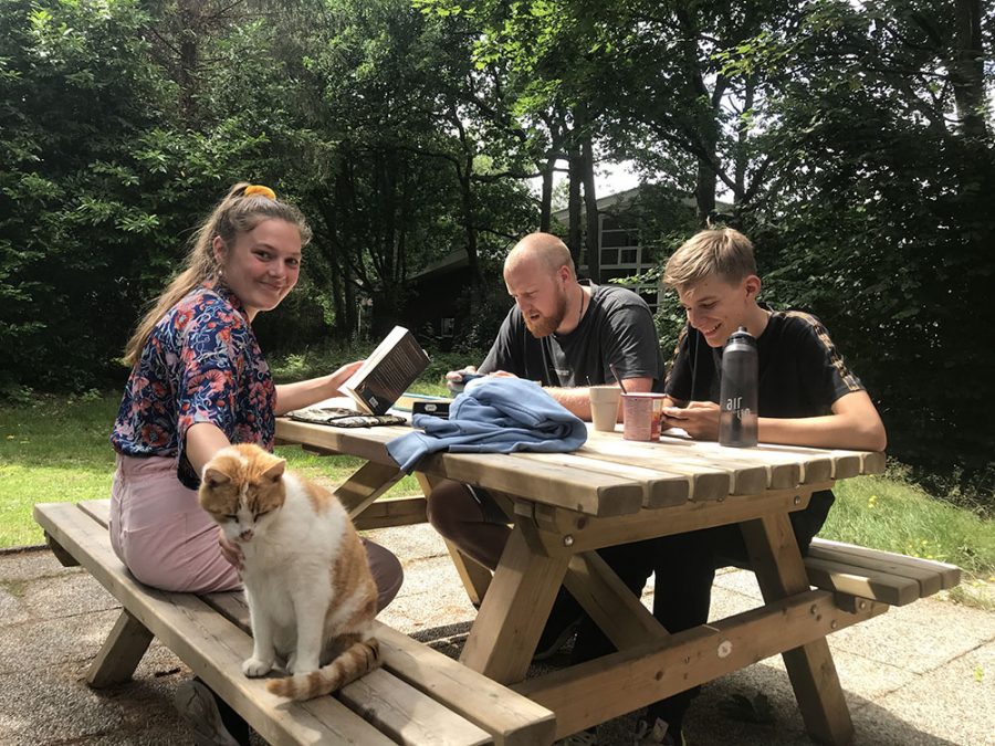 drie mensen zitten aan een picknicktafel buiten in de zon. Twee aan de ene kant kijken op hun mobiel, de rechter persoon lacht. Links zit een vrouw, ze kijkt lachend in de camera en aait een poes die vooraan op de foto op de bank zit.