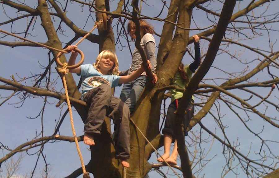 drie studenten in een kale boom, de lucht achter hen is blauw, een van hen lacht in de camera. Lang leve de bomen op De Ruimte!