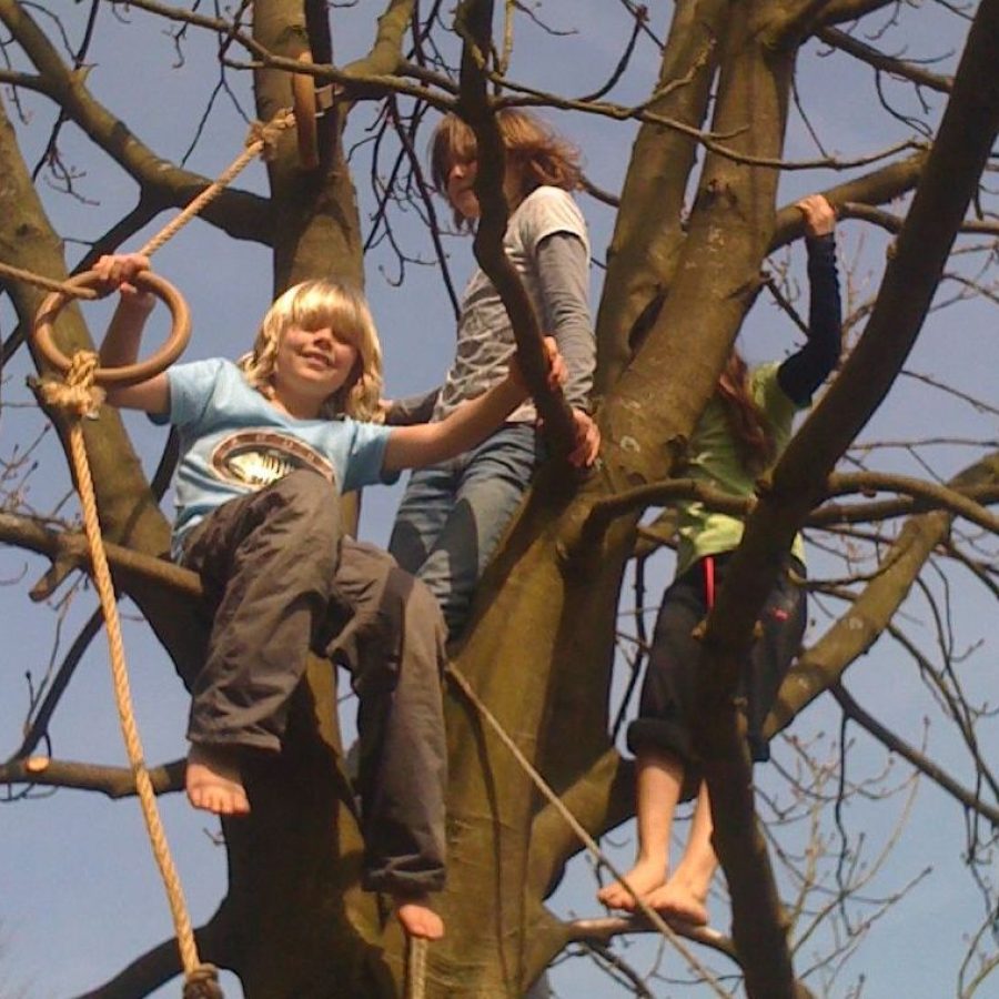 3 studenten in een kale boom, de lucht achter hen is blauw, een van hen lacht in de camera